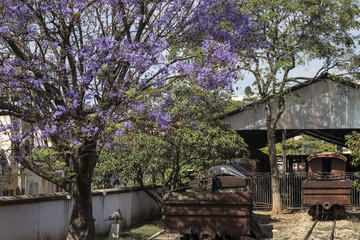 São João Del Reis / Tiradentes - MG