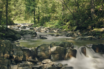 Natura © św. Bartłomiej