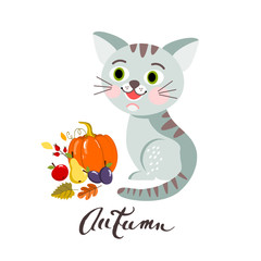 Cat with a pumpkin and autumn fruit, vector illustration