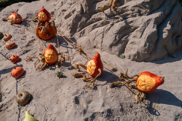The Pumpkin story in puppets as true nature art