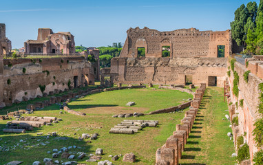 Fototapeta na wymiar The Palatine Stadium in the Roman Forum. Rome, Italy.