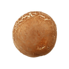 One brown portobello mushroom isolated on white