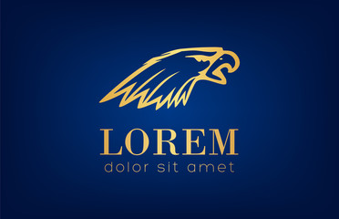 Eagle logo vector. Bird logo design.