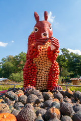 Fototapeta premium Pumpkin used for figure build up