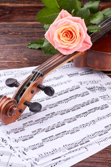 Fototapeta premium Pink rose on violin, vertical image. Musical note sheets with violin and fresh rose flower. Scroll and peg box of violin. Music still life.