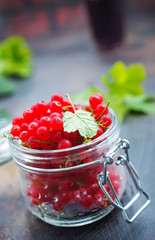 red currant