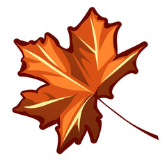 Autumn maple leaf isolated on a white background. Vector cartoon close-up illustration.