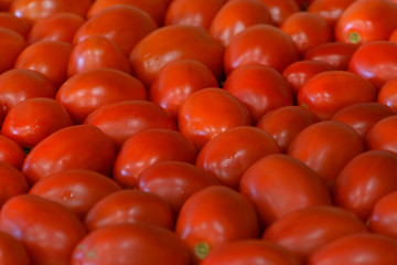 Red juicy tomato, background
