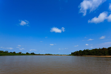 Panorama from Pantanal, Brazilian wetland region.