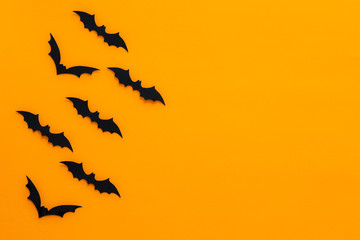 Bats with an orange background. Halloween concept.