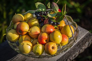 Still life with pears