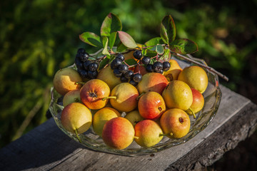 Still life with pears