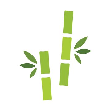 Tropical leaves bamboo tree icon