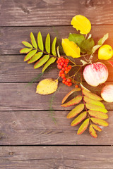 Beautiful autumn background with leaves and fruits for text. Golden autumn
