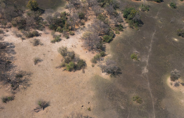 Aerial view of the Okavango Delta, Botswana