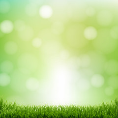 Nature Green Background With Bokeh And Grass