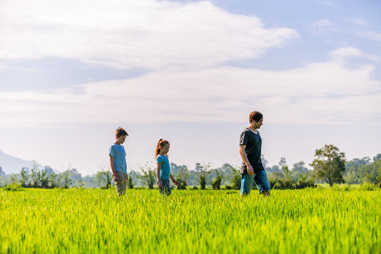 Family walking in rice field