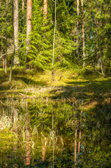 Fototapete bei efototapeten.de bestellen   