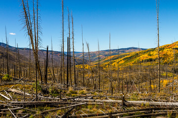 Fall in Steamboat Springs Colorado