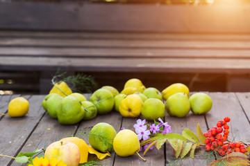 Ripe pears on a wooden table with autumn leaves and Rowan berries