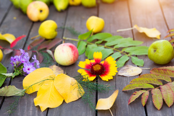 Close up of autumn leaves and fruit on brown background