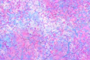 soft focus glitter bokeh stone fleck abstract background 