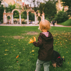 little girl gathering yellow leaves at green grass with small black dog