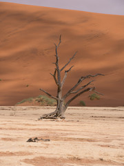 DeadVlei salt pan in Sossusvlei, inside the Namib-Naukluft Park in Namibia.