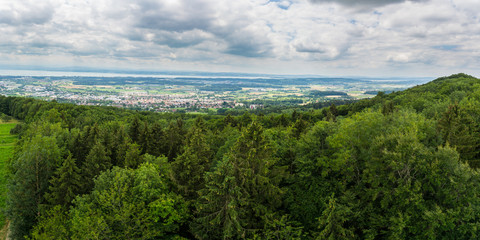 Germany, XXL panorama over tree tops of lake constance nature landscape