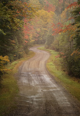 Naklejka premium windy road in the fall colors of the adirondacks