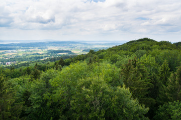 Germany, Above rural forest countryside of lake constance nature landscape