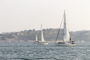 Obraz premium Three Sailboats in the River