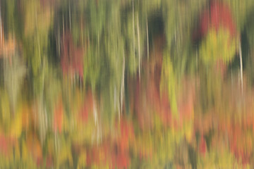 Reflection of bold fall colors in New England