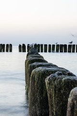 Falachrons in the Baltic Sea. Calm water