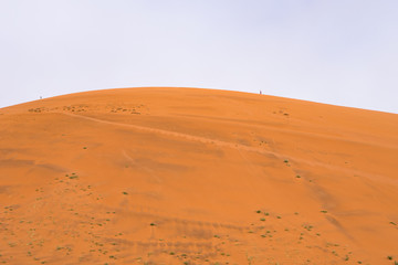 Sand dunes at Sossusflei in Namibia
