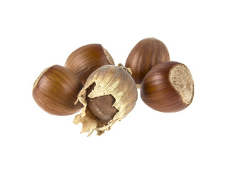 hazelnut on isolated white background