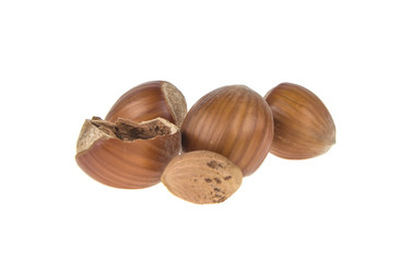 hazelnut on isolated white background