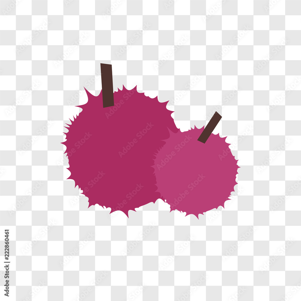 Poster lychee vector icon isolated on transparent background, lychee logo design