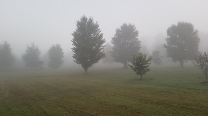 Obraz na płótnie Canvas Spooky Fog
