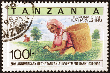 Woman harvesting tea leaves on tanzanian postage stamp