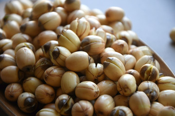 Fresh lotus seeds piled.