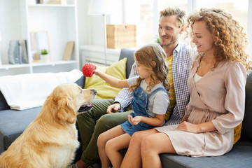 Cute little girl with red rubber toy playing with golden labrador while relaxing with parents on...