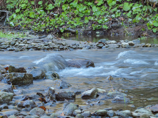 stream in forest