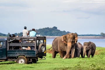 Foto op Aluminium Elepahantssafari in Minneriya, Sri Lanka - Moeder Aziatische olifant beschermt hier babyolifanten tegen toeristensafari-jeep in Minneriya National park in de buurt van Kaudulla park en Dambulla in Sri Lanka. © thdk