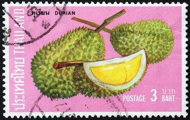 Durian fruit on thai postage stamp
