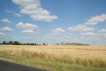 Obraz premium Field on south of France