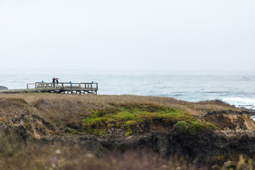 Fototapeta premium Wildlife viewing area with tourists looking at the sea