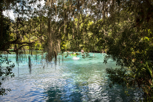 Enjoying a beautiful day at Silver Glen Springs Recreation Area