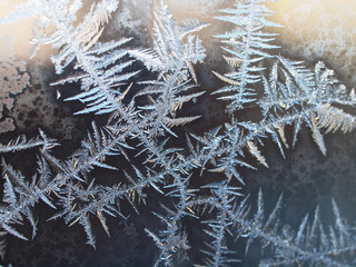 frost on the window