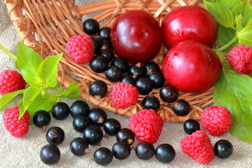 a basket of fresh berries 